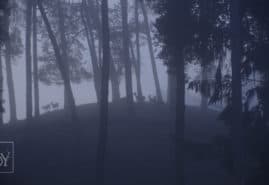 „DEER BOY” WINS EUROPEAN SHORT PITCH