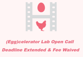 OSTATANIA SZANSA NA ZGŁOSZENIE SIĘ NA (EGG)CELERATOR LAB