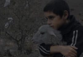 "Milky brother", dir. Vahram Mkhitaryan<br />