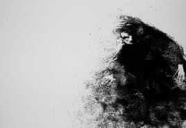 TRACES OF EPHEMERAL, dir. 