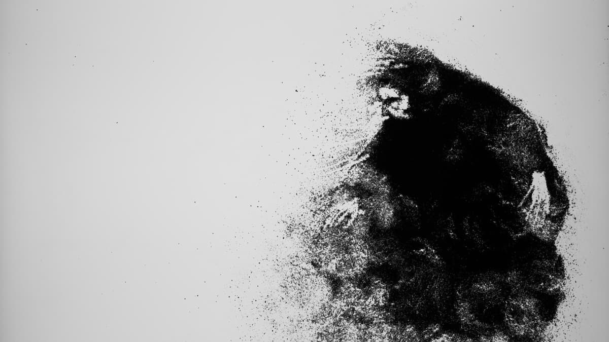 TRACES OF EPHEMERAL