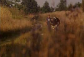 "Silence", dir. Małgorzata Szumowska