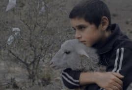 „MILKY BROTHER” WINS A SPECIAL MENTION IN CAIRO