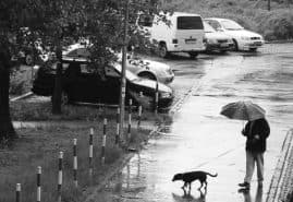 „WRONA”  Z WYRÓŻNIENIEM WE FRANCJI