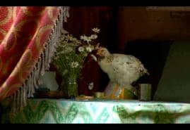 2011 SUM UP – POLISH DOCUMENTARIES GROW STRONGER
