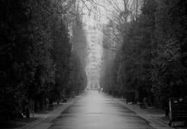 7 WORDS ABOUT PASSING AWAY, dir. 