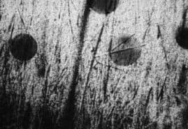 THROUGH THE FIELDS, dir. 