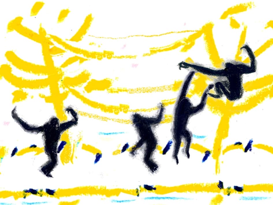 GIBBON’S ISLAND
