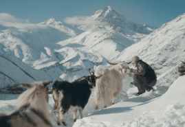 POLISH DOCUMENTARIES AT INTERNATIONAL FESTIVALS IN APRIL