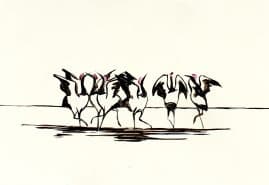 AND THE CRANES KEPT DANCING, dir. 
