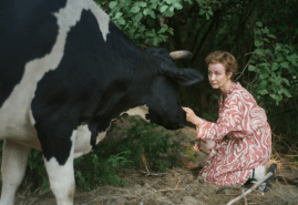 FREE COW, dir. 