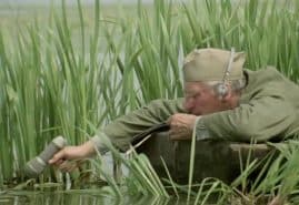 THE FAINT CLATTER OF BIRDS, dir. 