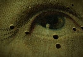 WOODEATERS, dir. 