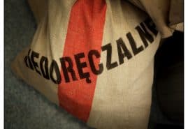 Europejska Nagroda Filmowa dla Łozińskiego